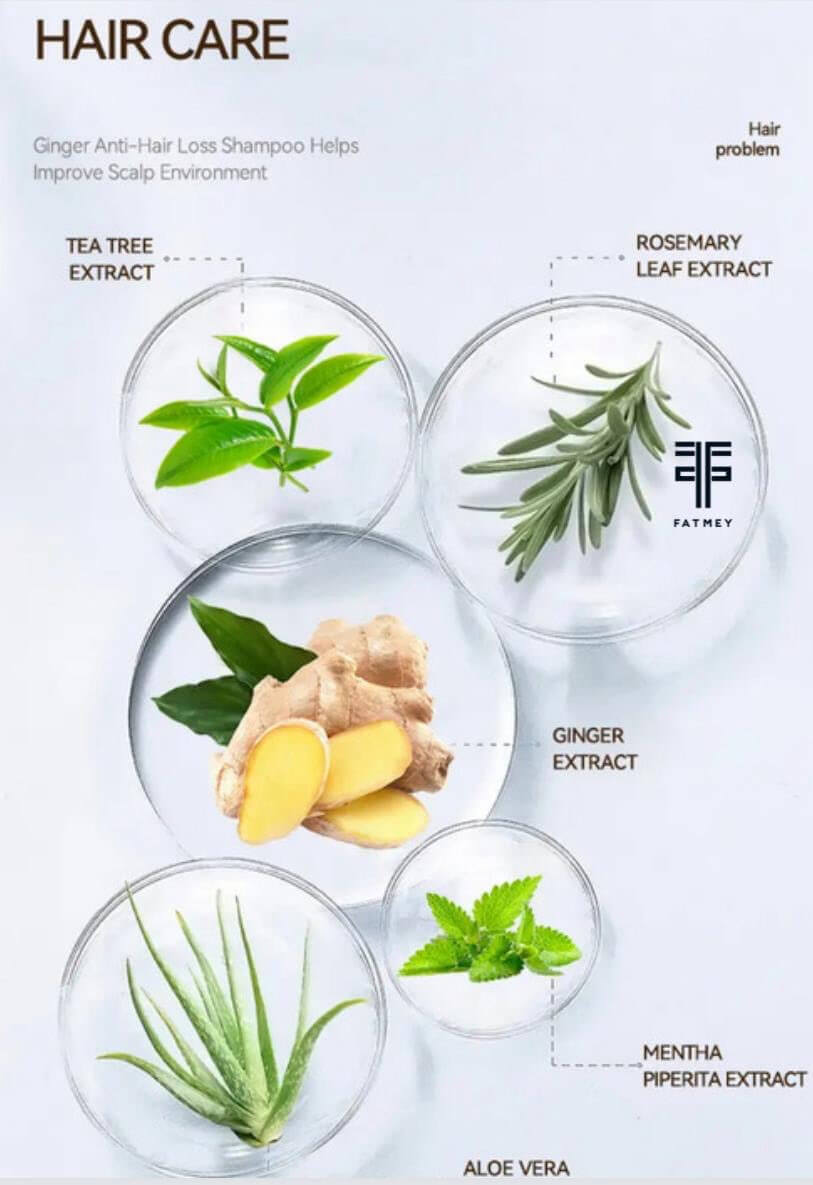 Anti-Hair Loss Range: Ginger and Tea Tree